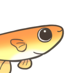 メーちゃん